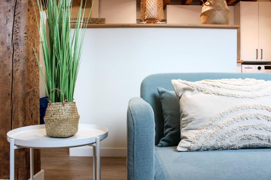 Designer Duplex In The Center * Santander