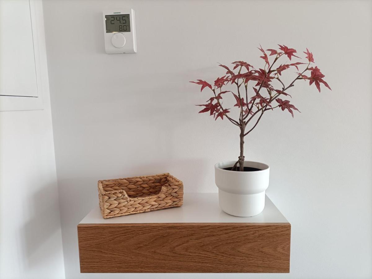 Precioso Nuevo Centrico En Apartamento