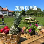 Costa Santander. Apartamento Con Jardin