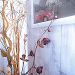 El Apartamento De Santa Emilia By Just Room