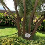Apartamento Con Jardin
