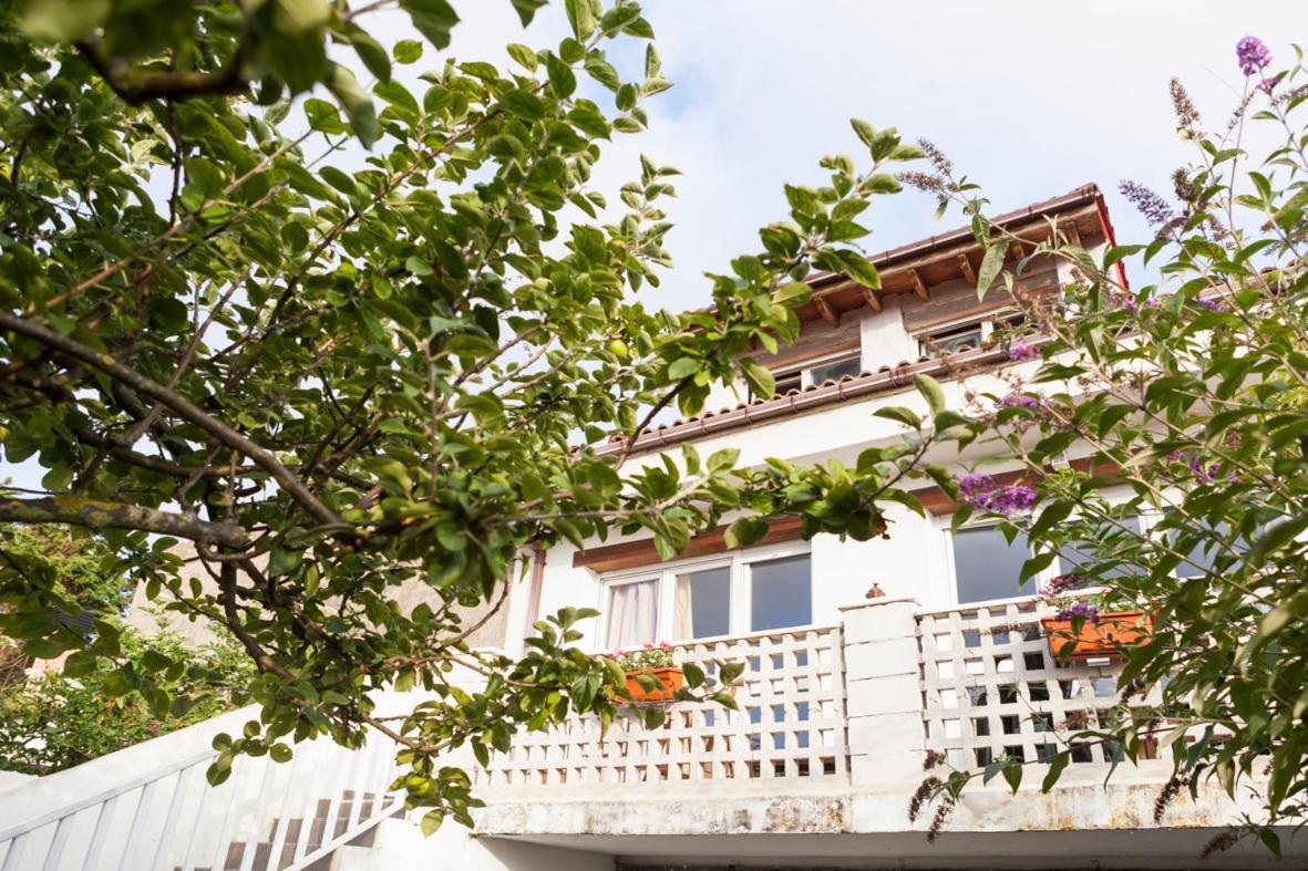 Estrella Del Norte Homestay