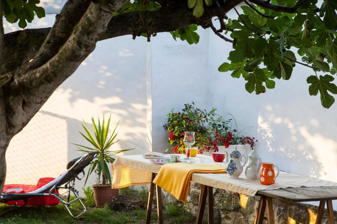 Estrella Del Norte Homestay