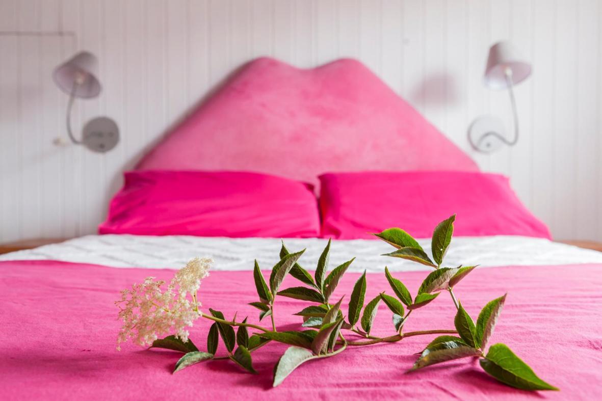 Estrella Del Norte Homestay *