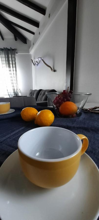 Lucin Apartamento