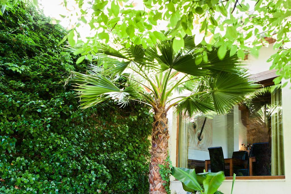 Sotobosque Country house Santander