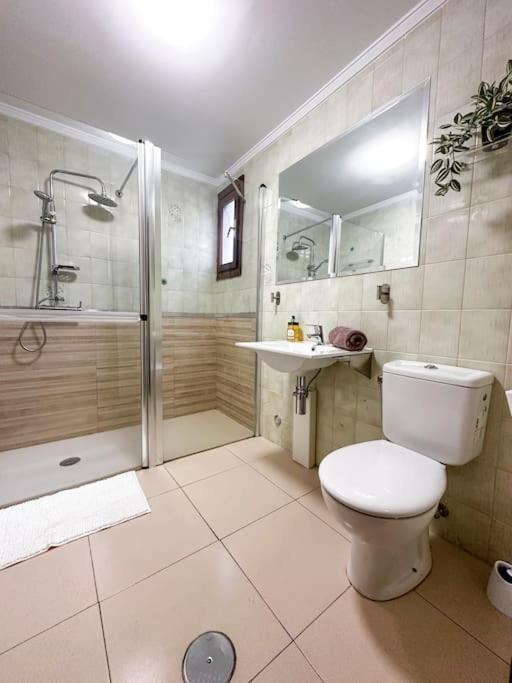 Apartamento Piso Valdecilla Con Garaje