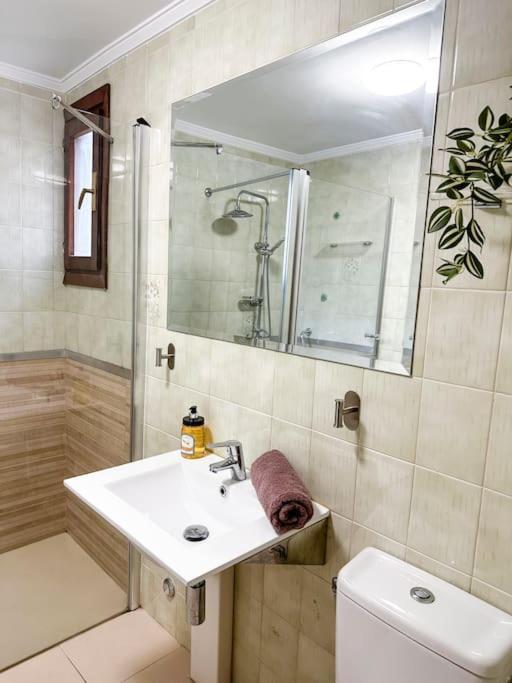 Apartamento Piso Valdecilla Con Garaje *