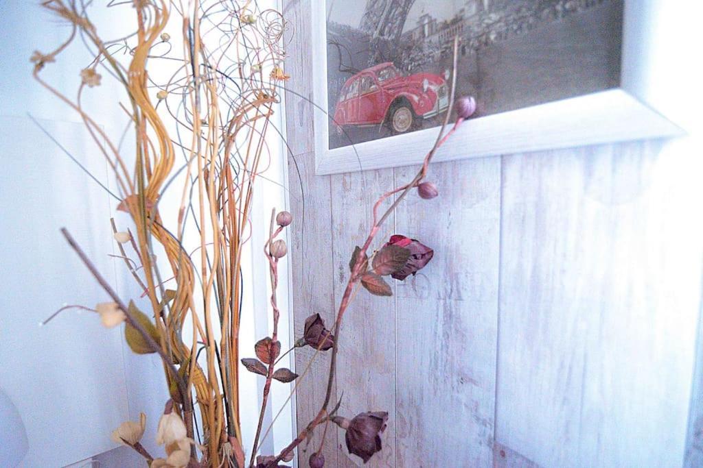 El De Santa Emilia By Just Apartamento