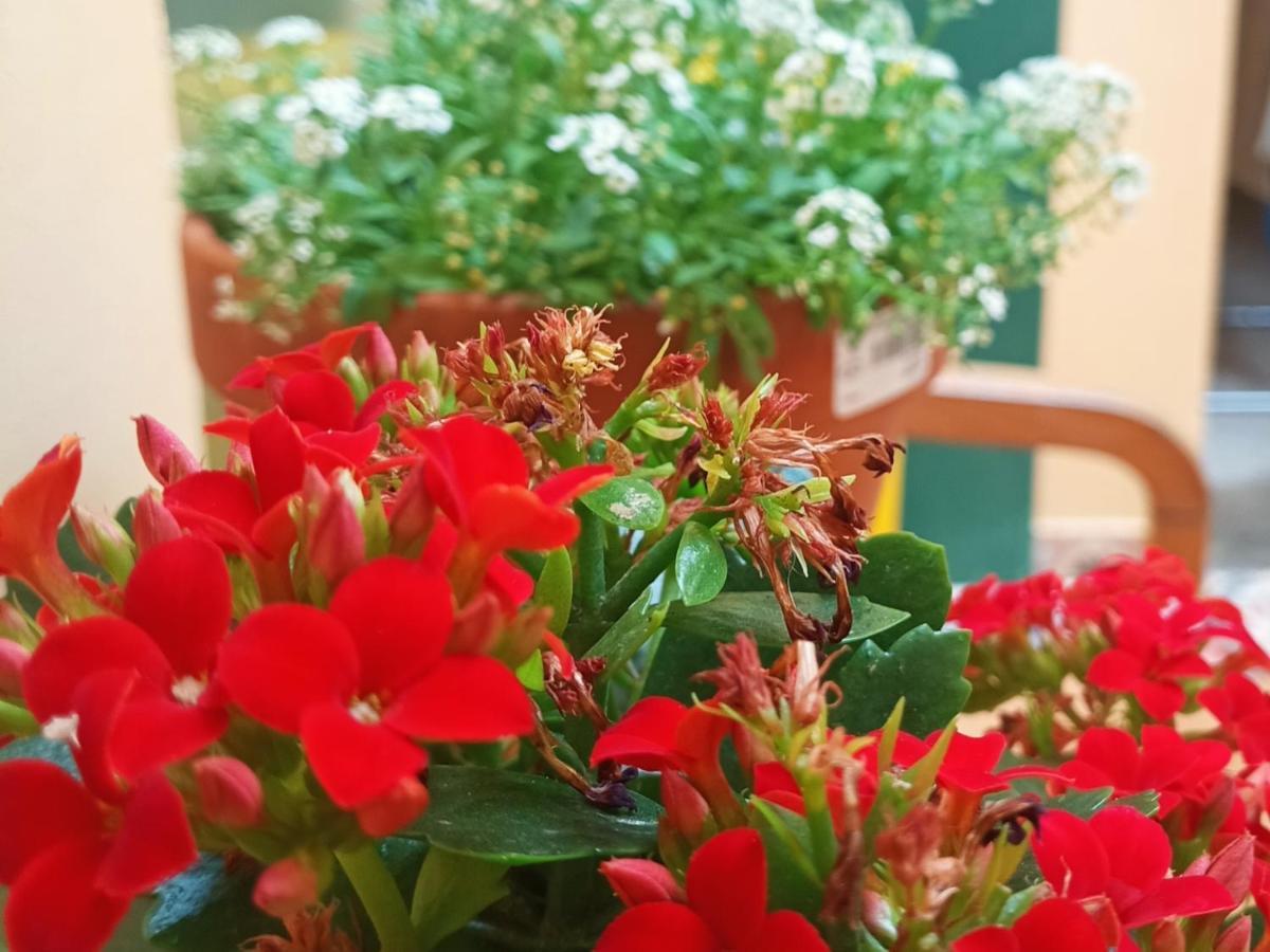 Hostal Allegro Santander
