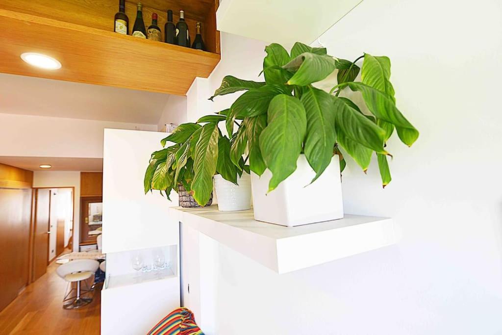 Apartamento En El Sardinero Apartamento