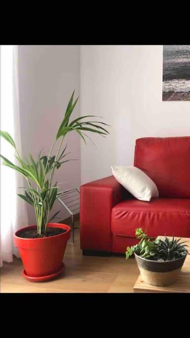Turistico Casasali Apartamento