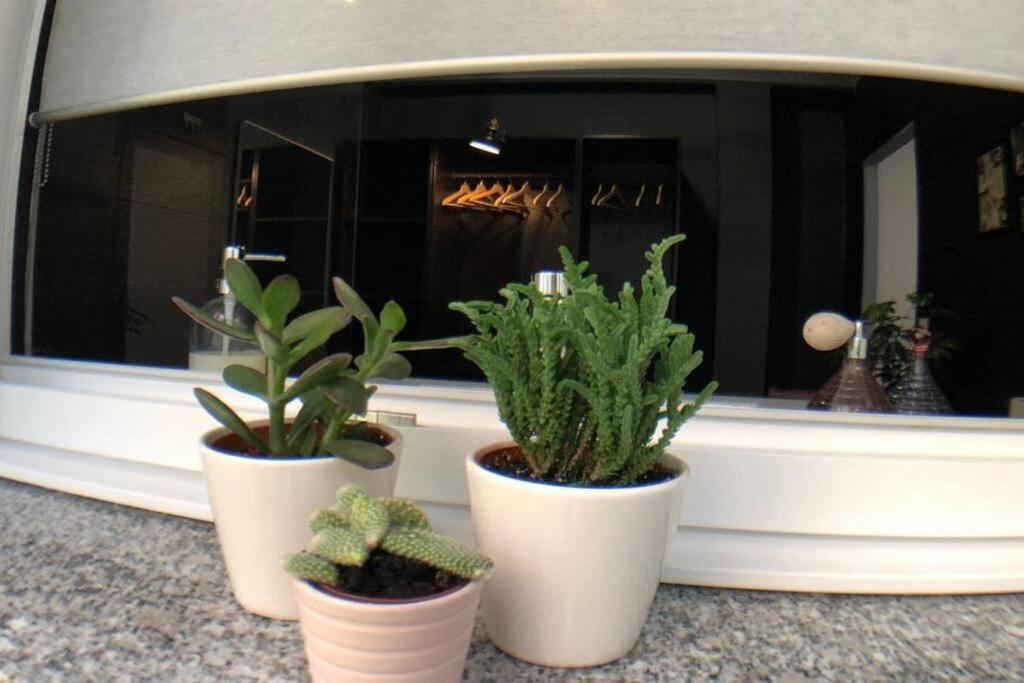Apartamento Piso De Diseño Con En El Centro De *