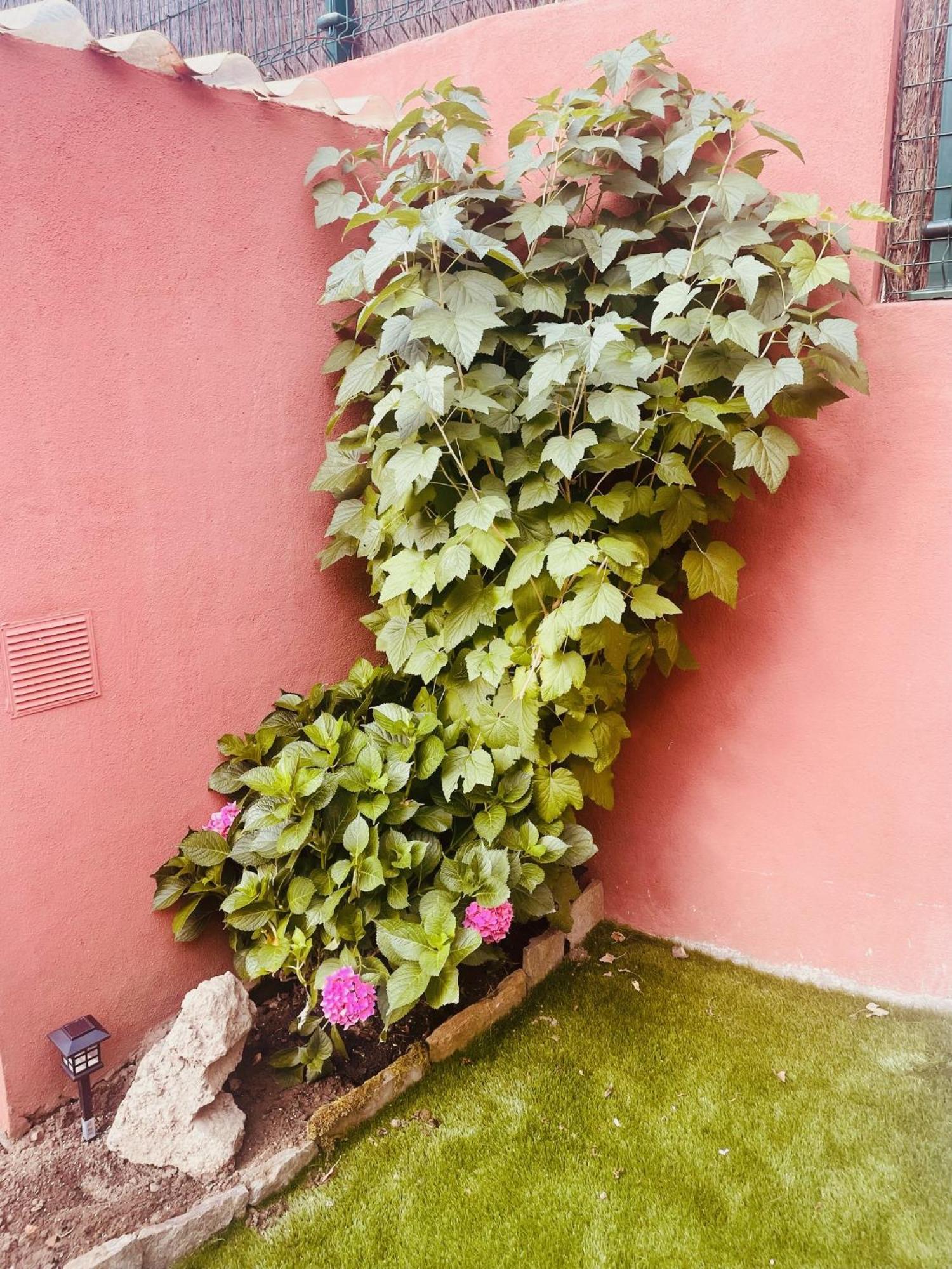 Apartamento Apartamento Con Jardin En El Centro *