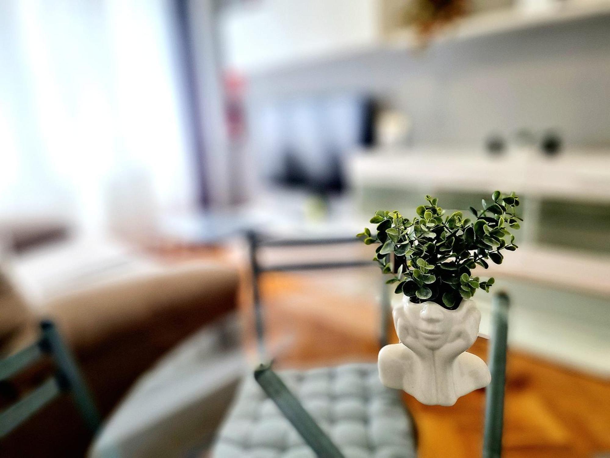 Centrico Apartamento *