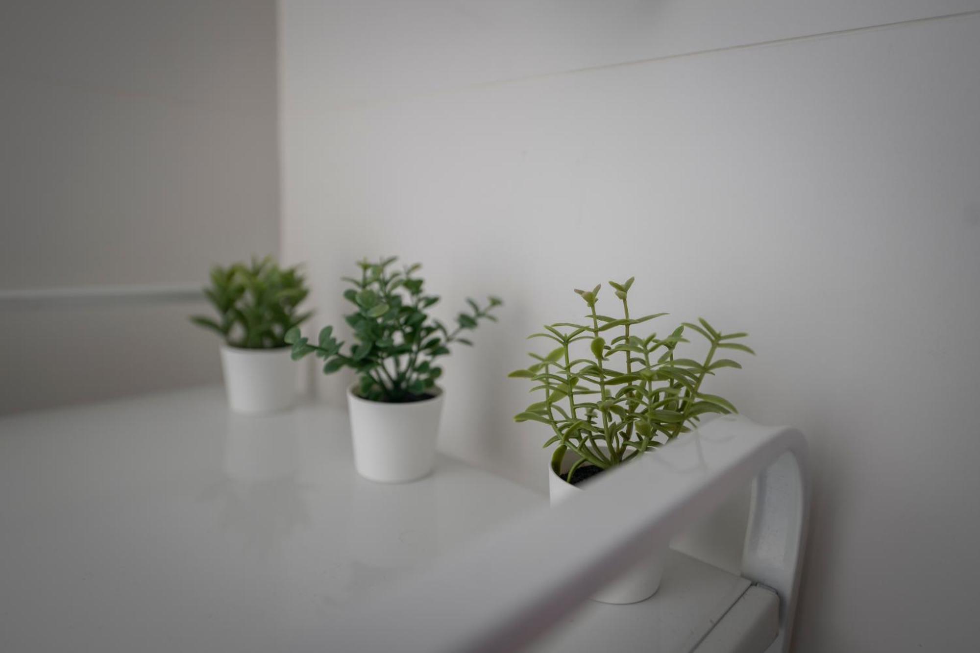 Estudio Nuevo En El Centro De Apartamento *