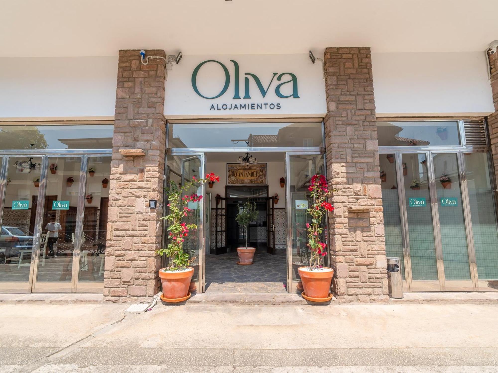 Oliva 3000 Pensión