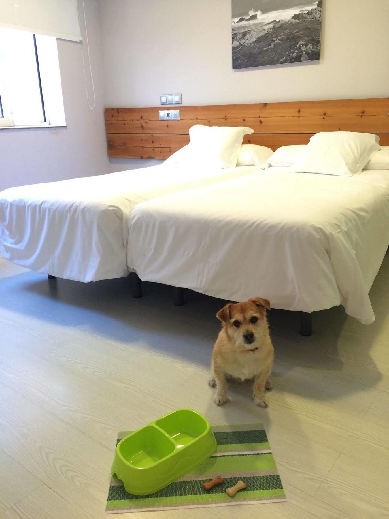 Hosteria Santander Bed and breakfast Santander