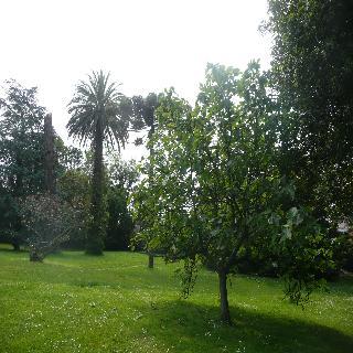 Pensión Carolinas Garden Santander
