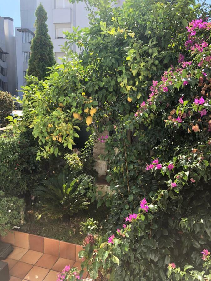 Loft Edificio Maura Primera Playa Apartamento Santander
