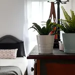 Cómodo y luminoso apartamento en zona residencial