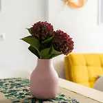 Precioso Apartamento En El Centro