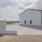 Holidea Mar Salada Piquel