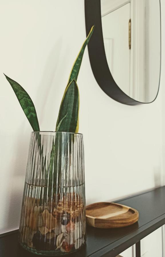 Bajo Con Jardin Privado Apartamento