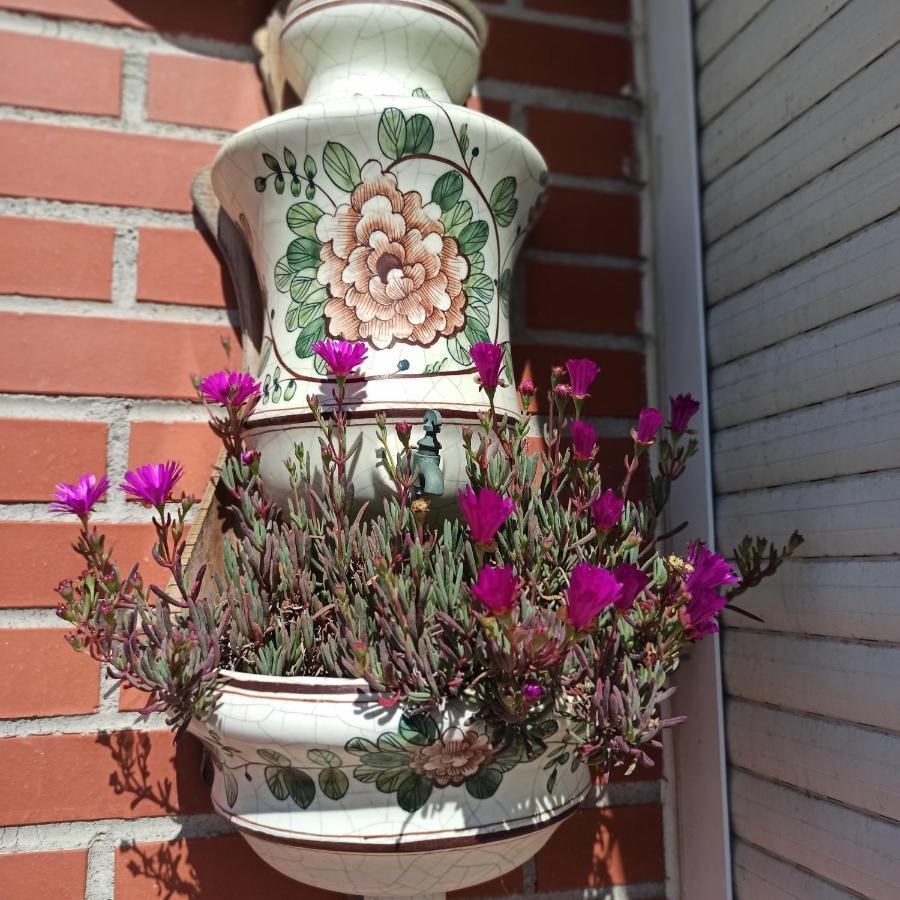 Apartamento Bajo Con Jardin Privado Santander
