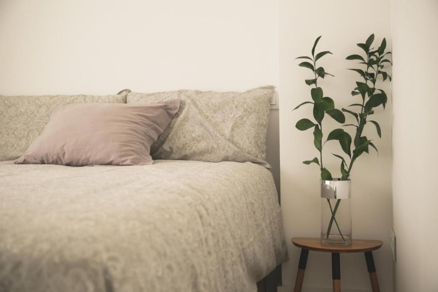 Apartment Romantico En El Centro Santander