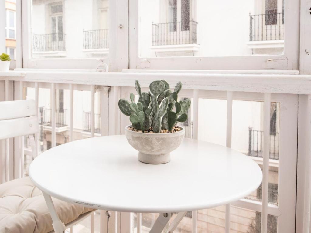 Bahia Charm In The Heart Of Apartment