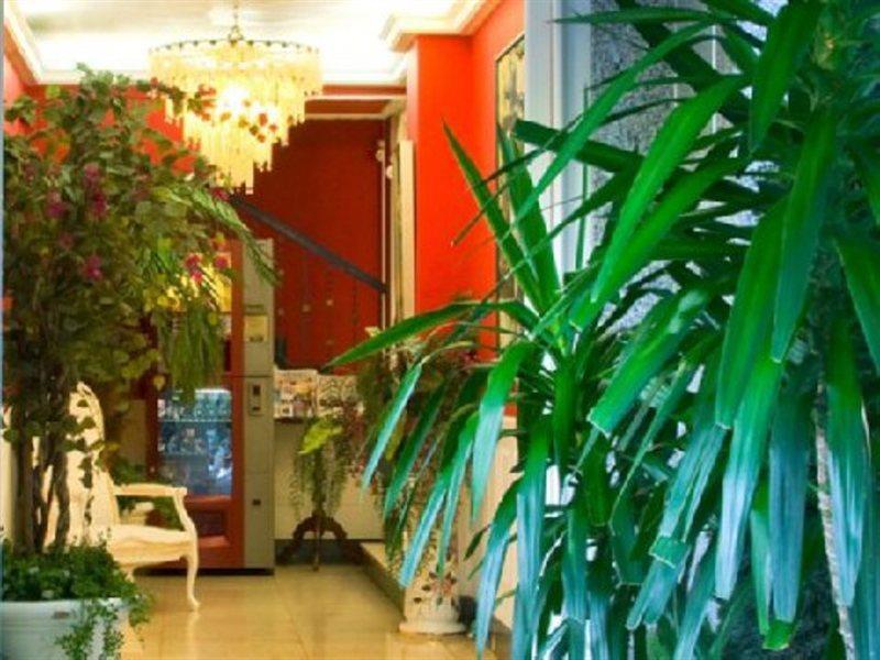Brisas Aparthotel 3*