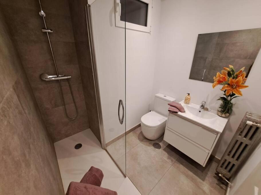 Centro Apartment Santander