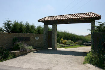 Sotobosque *