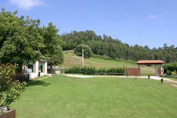 Sotobosque Santander